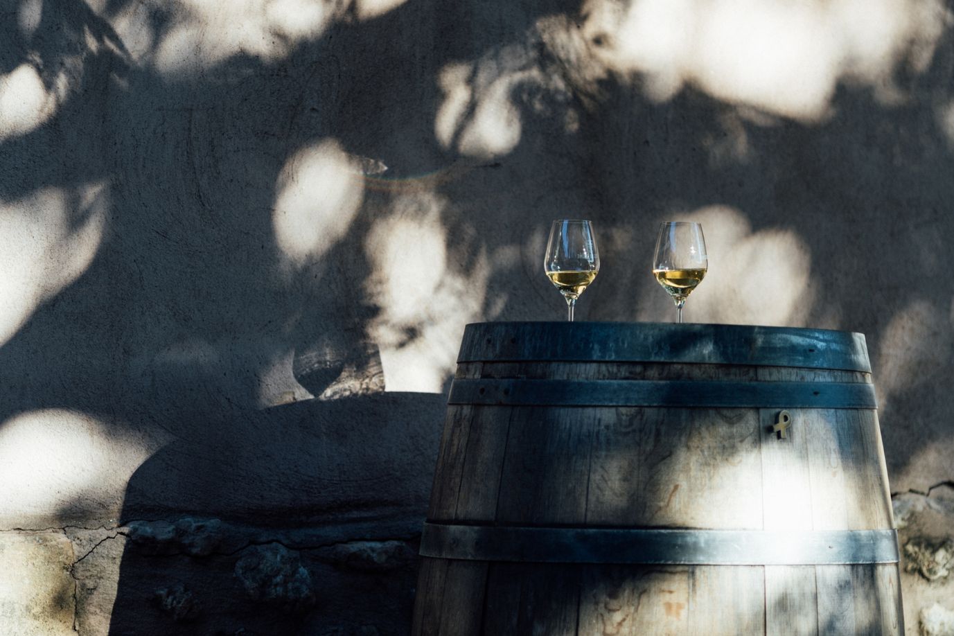 Les vins Les vins