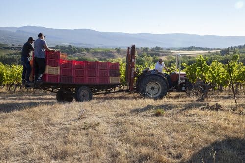 The Estate The Estate