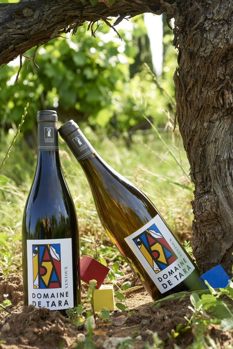 Les vins vins tara